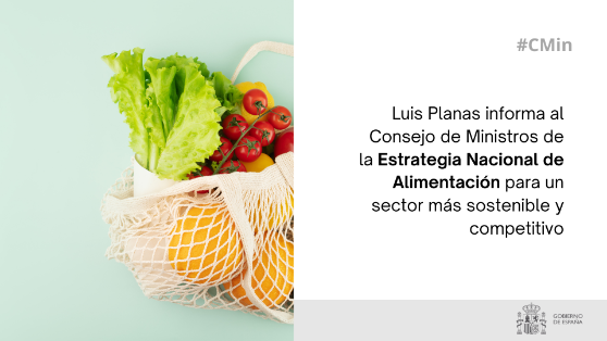 Hoy, en Consejo de Ministros  