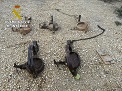 El SEPRONA realiza una importante operación contra el uso de venenos en el medio natural. Operación ANTITOX VII.
