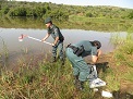 La Guardia Civil investiga a cinco personas, como presuntas autoras de un delito contra los Recursos Naturales y el Medio Ambiente, por vertidos al río, que causó la muerte de numerosos peces.