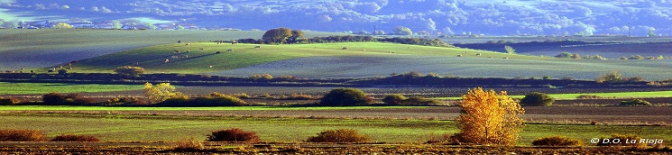Foto 1 apaisada